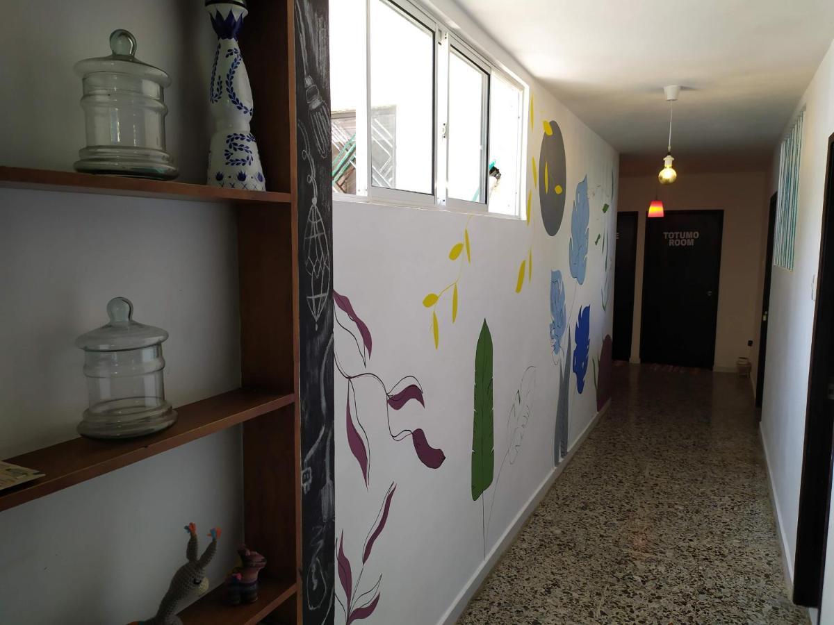 Casa Almendros *